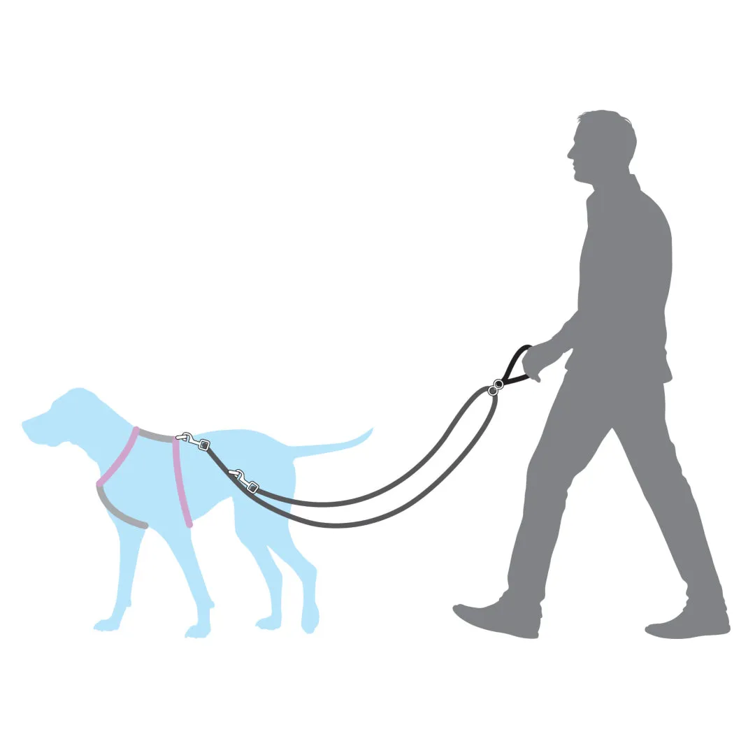 Anti-Pull Dog Lead