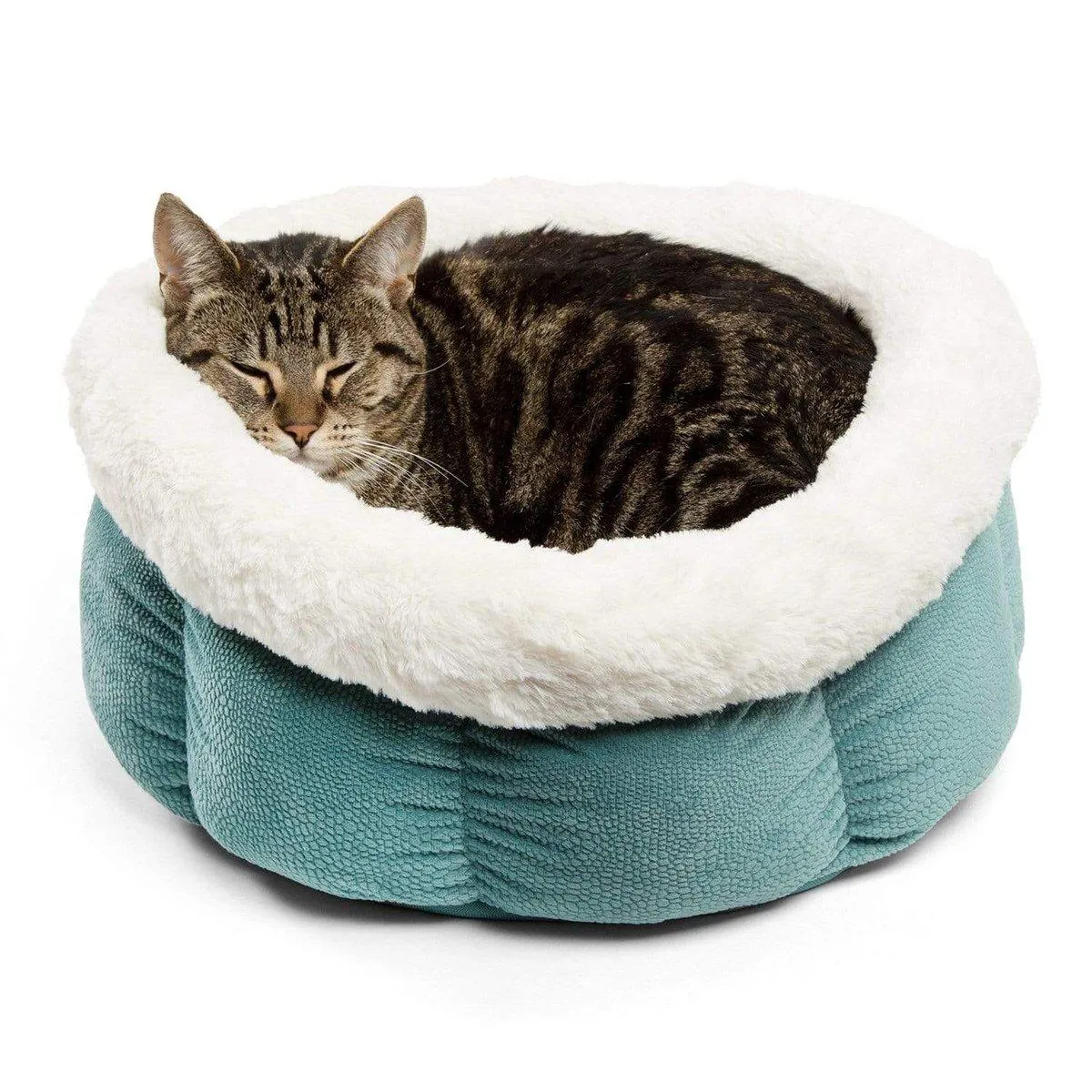 Cozy Ilan Cuddle Cup - Standard