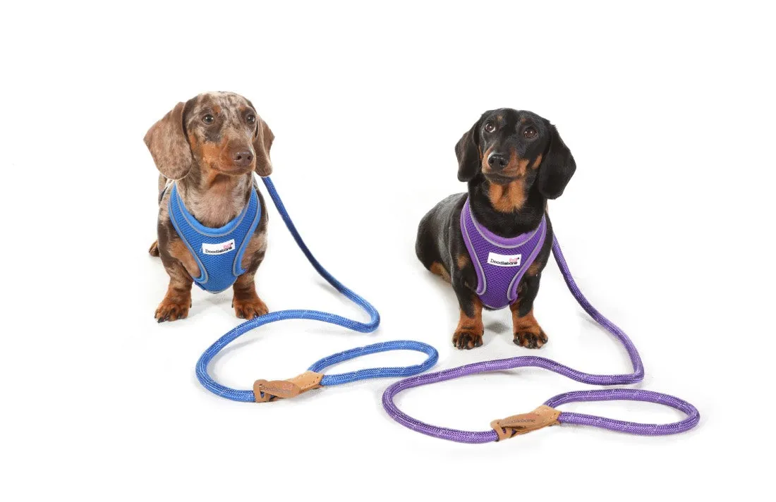 Doodlebone Airmesh Dog Harness - Violet Purple