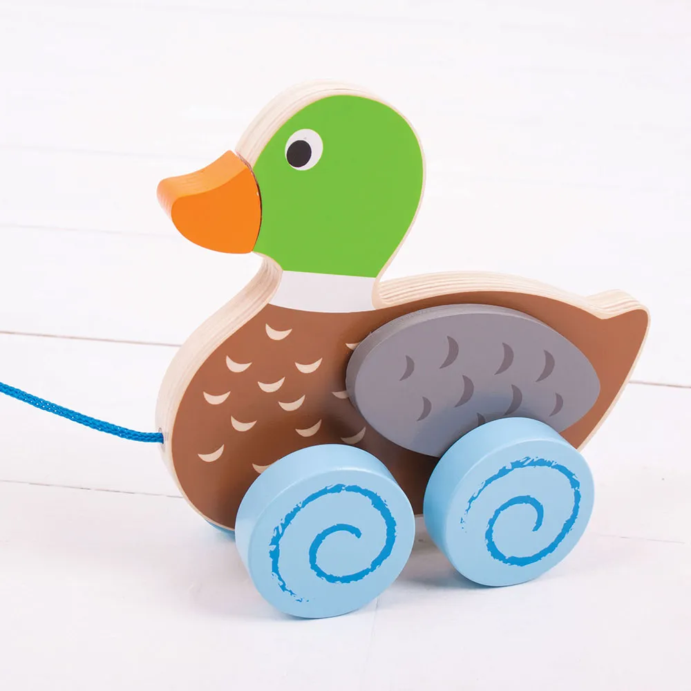 Duck Pull Along By Bigjigs Toys Us