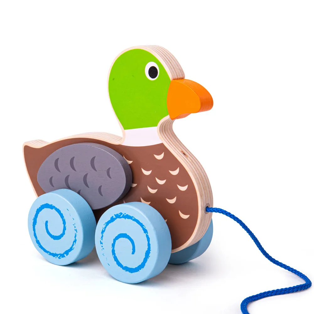 Duck Pull Along By Bigjigs Toys Us