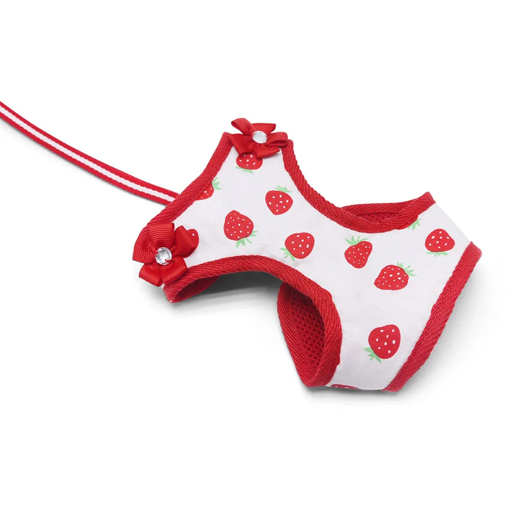 easy go harness and leash set - strawberry