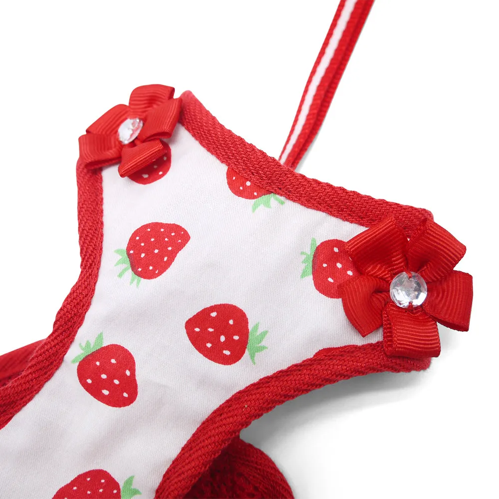 easy go harness and leash set - strawberry