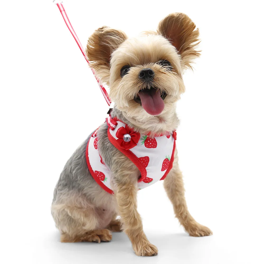 easy go harness and leash set - strawberry