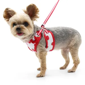 easy go harness and leash set - strawberry