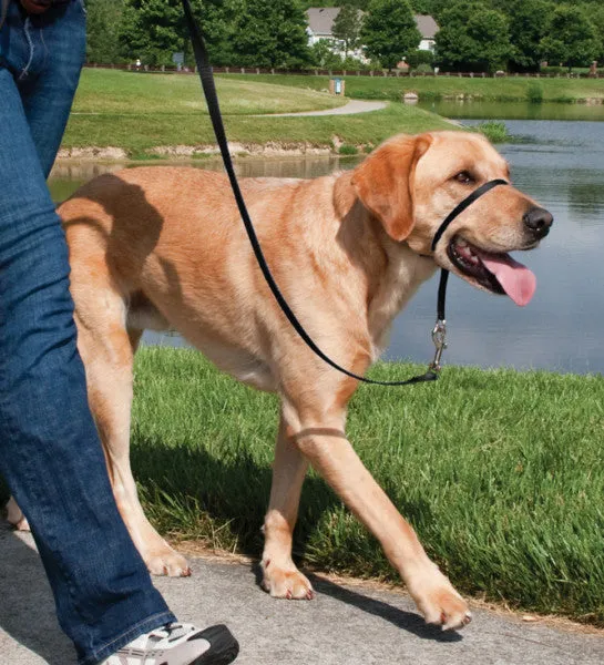 Easy Walk® Headcollar