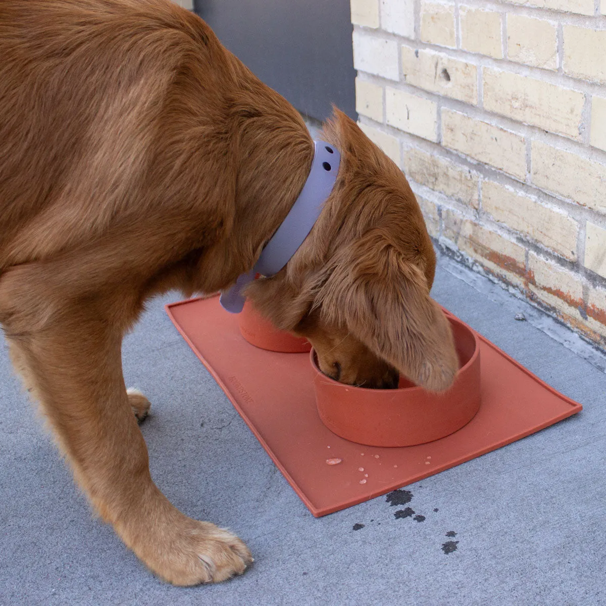 Food Grade Silicone Dog Bowl - Charcoal Grey, 4.5 Cups Volume, Dishwasher Safe, Non-Slip