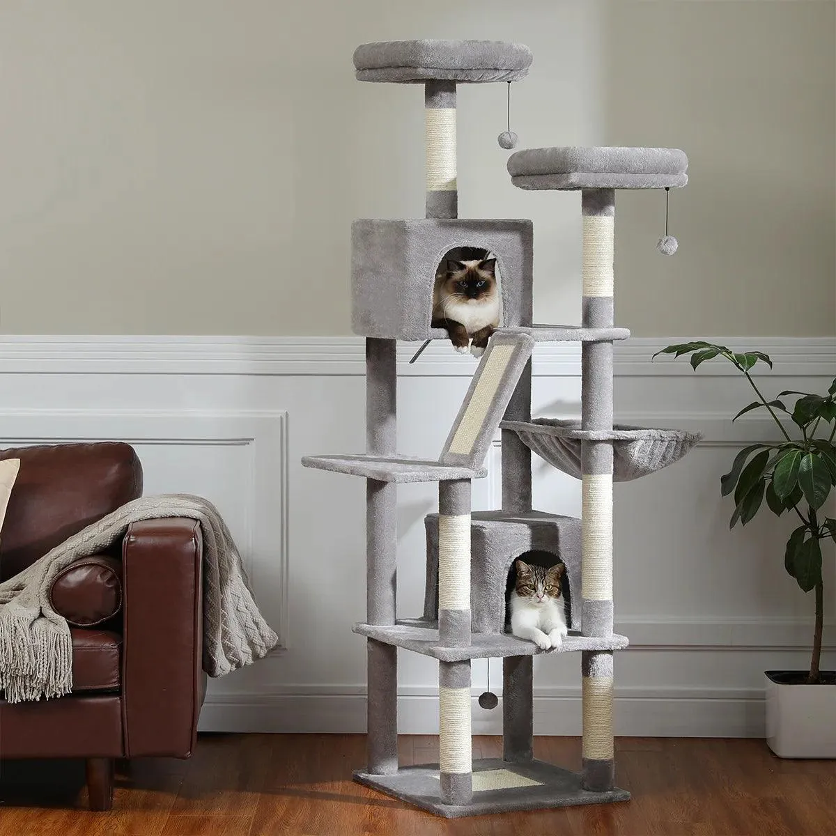 Multi-Level Cat Condo for Large Cats