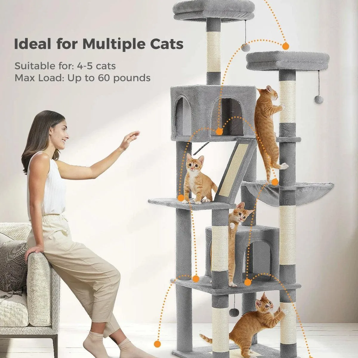 Multi-Level Cat Condo for Large Cats