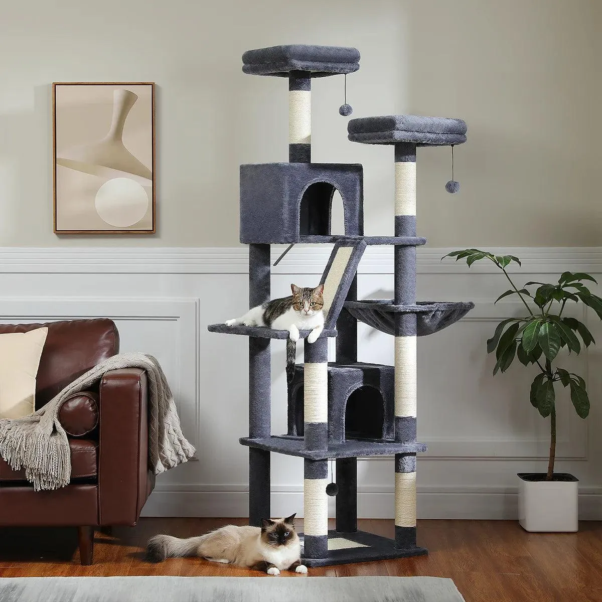 Multi-Level Cat Condo for Large Cats