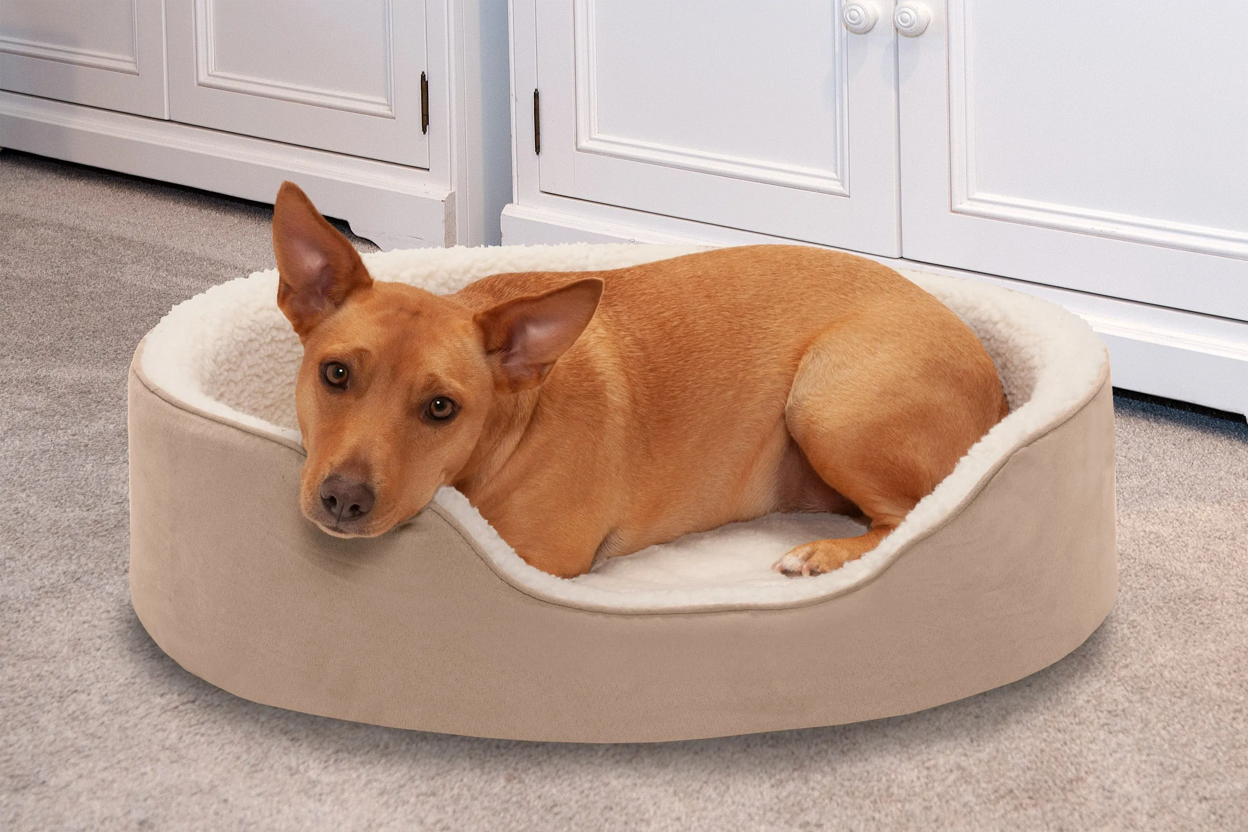 Oval Dog Bed - Faux Sheepskin & Suede