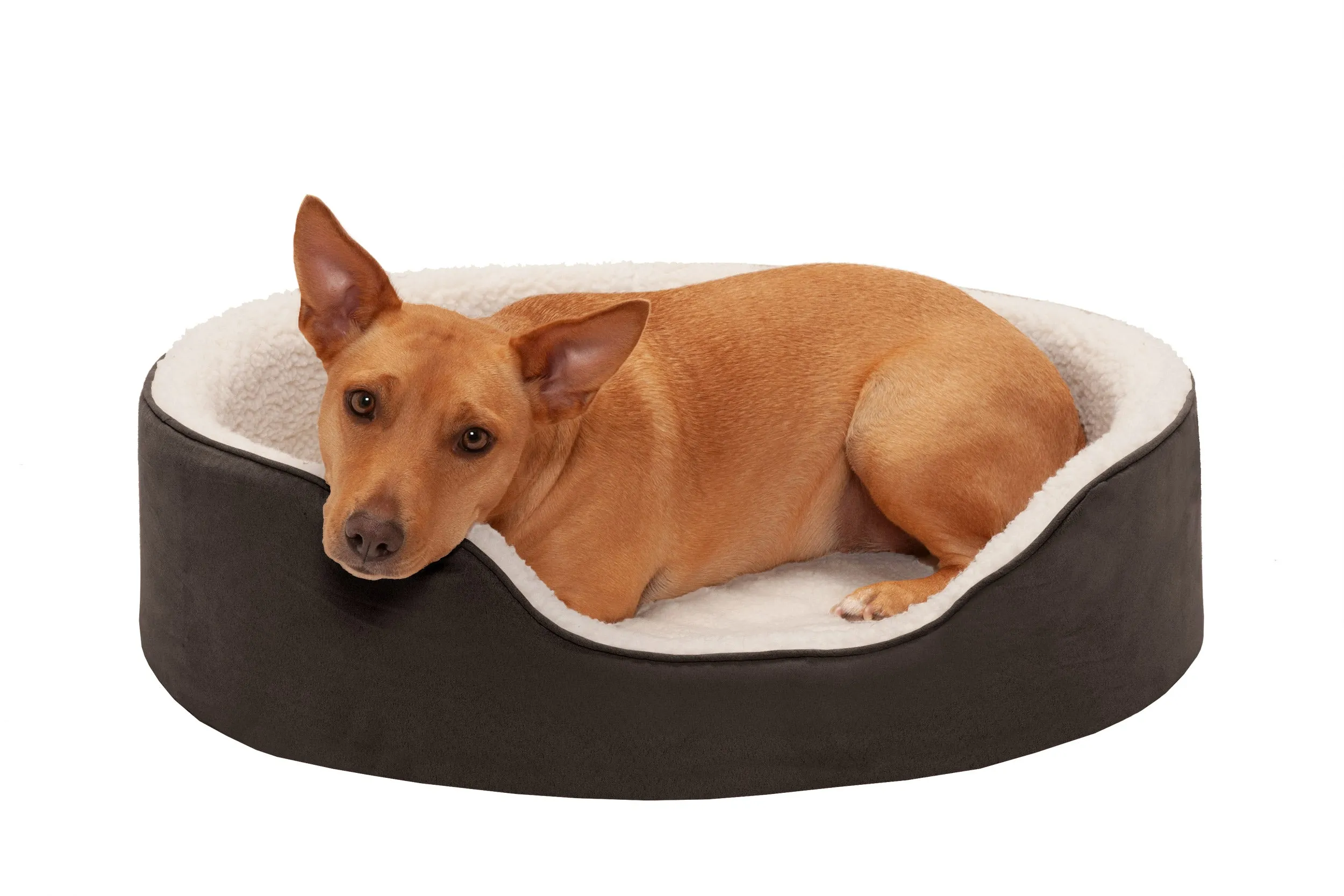 Oval Dog Bed - Faux Sheepskin & Suede