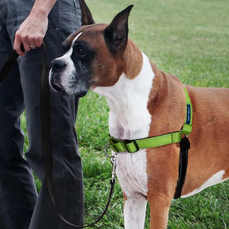 Petsafe Deluxe Easy Walk Harness: No-Pull, Padded, & Reflective!