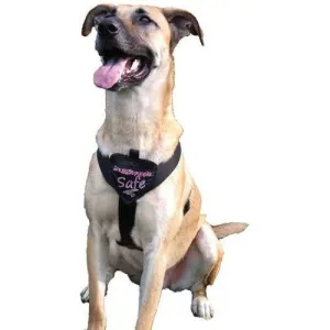 SmartPetLove - Safe & Sound Dog Harness