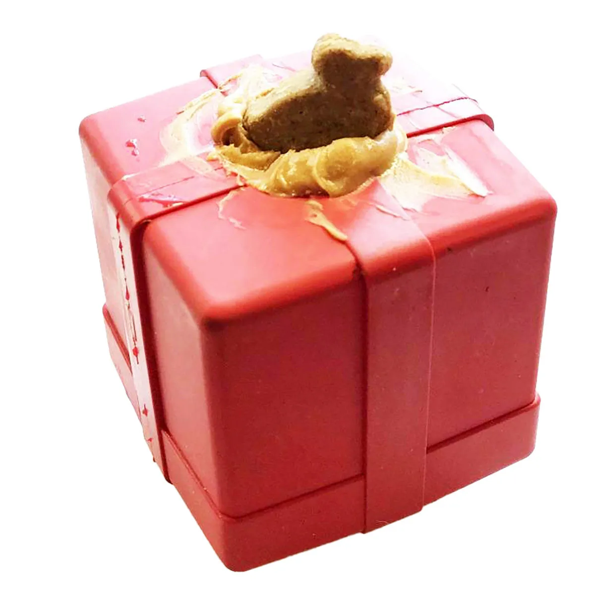 Soda Pup Gift Box Durable Rubber Chew