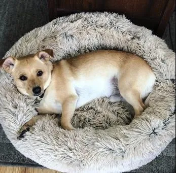 Soft and Fluffy Plush Calming Pet Bed